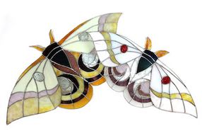 Neile Cooper Glass Moths