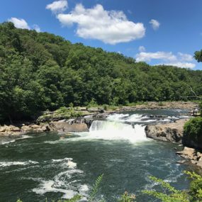 Falls at Ohiopyle PA