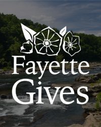 Fayette Gives Falls