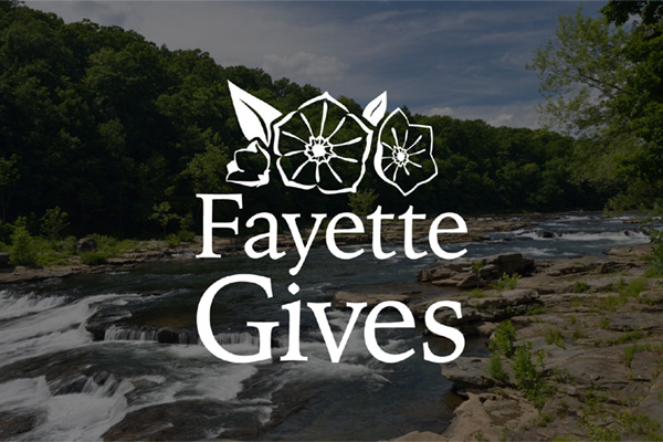 Fayette Gives Falls