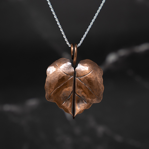 Heather Liverman_featured image 2026