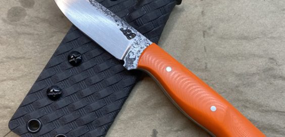 Lisa Lofdahl_featured image 2026