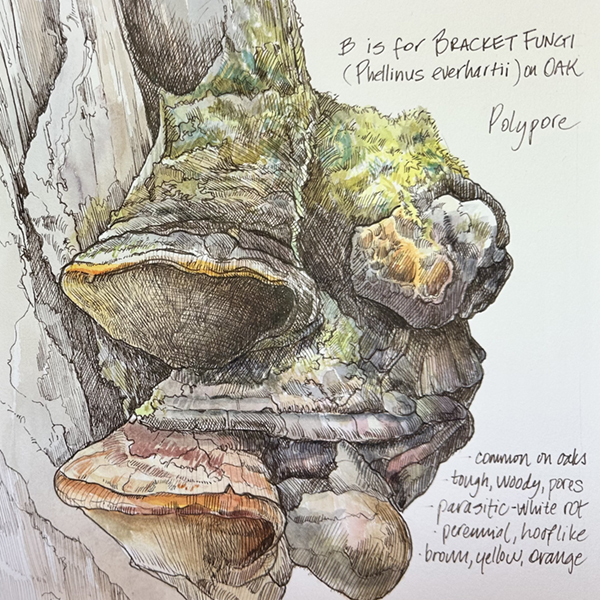 Margaret Saylor_featured image 2026